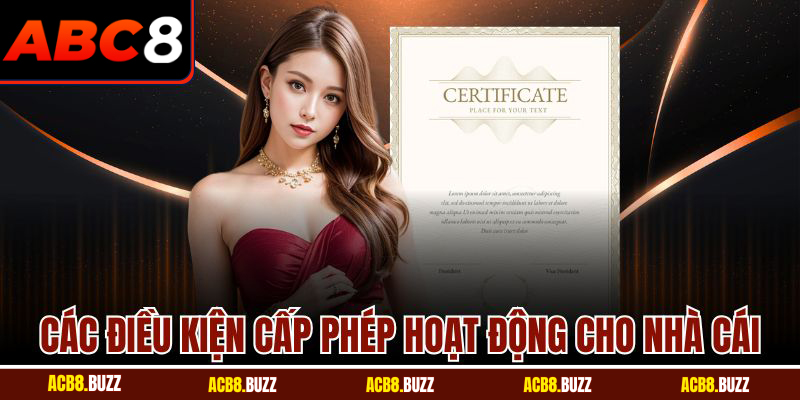 Giấy Phép Hoạt Động 6 Các điều kiện cấp phép hoạt động cho nhà cái