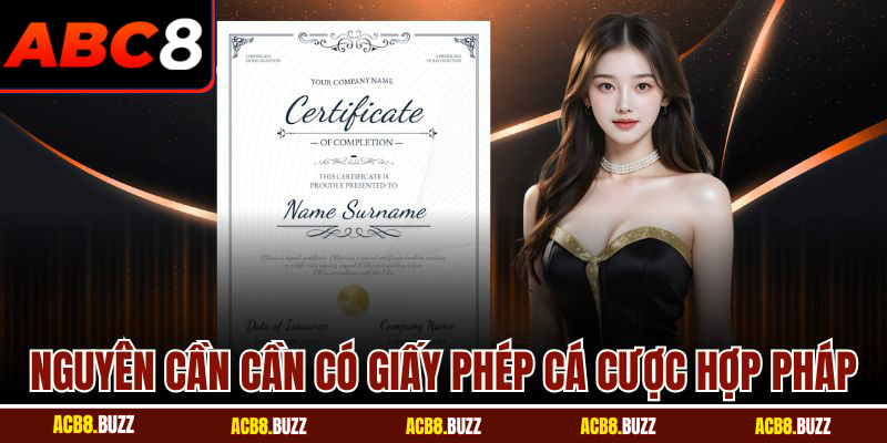 Giấy Phép Hoạt Động 5 Nguyên cần cần có giấy phép cá cược hợp pháp